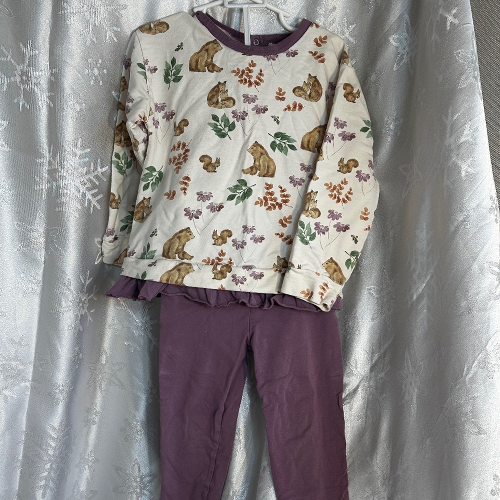 Burt's Bees 4T Organic Cotton Fall Long Sleeve Set